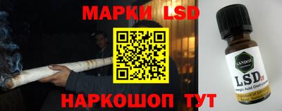 прущие грибы Кунгур