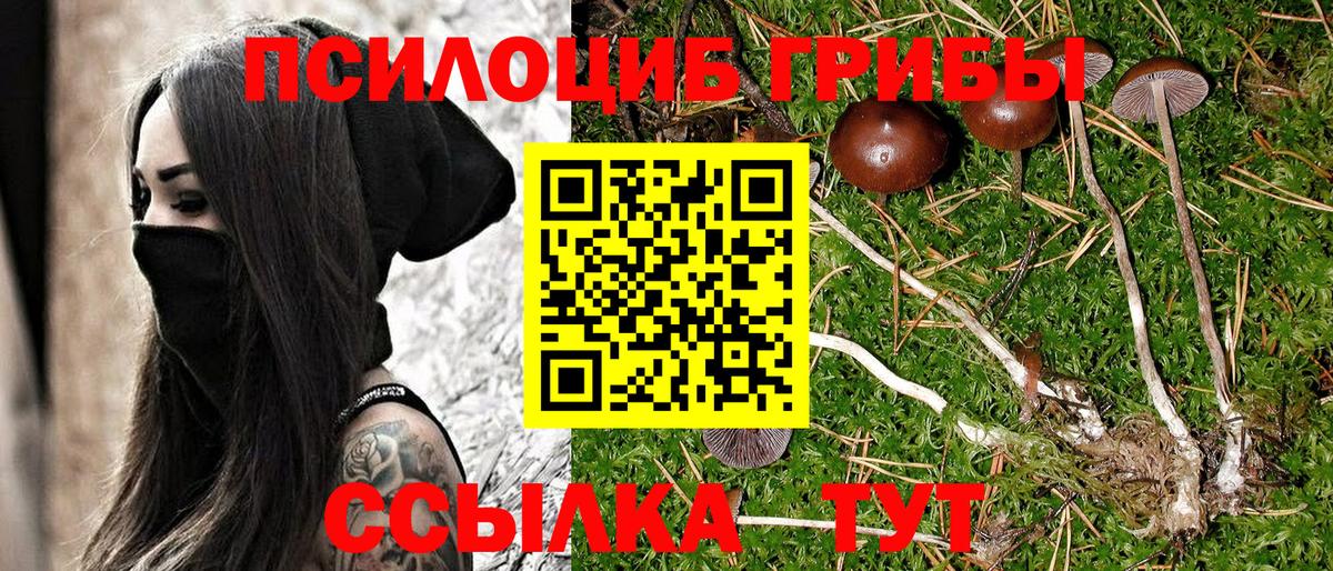 Галлюциногенные грибы ЛСД Волжск